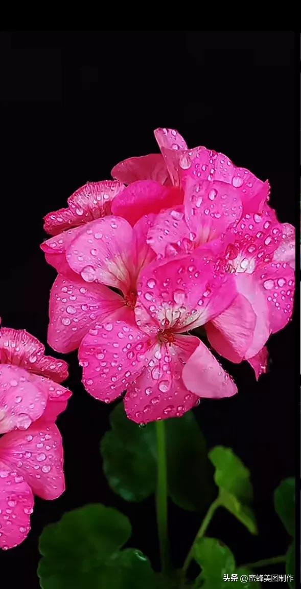 精美桌面壁纸蓝天白云天空美景(壁纸美图蓝天白云)(19)