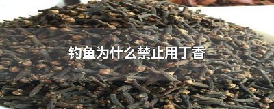 ​丁香能不能钓鱼吃掉 丁香可以钓鱼吗