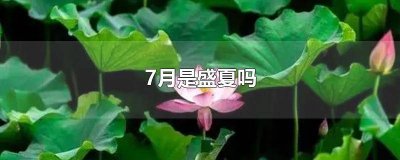 ​六月属于盛夏吗 六月可以说是盛夏吗