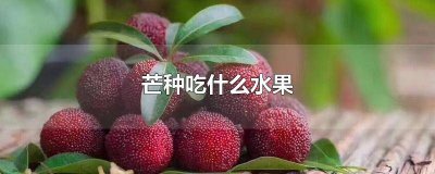 ​芒种适合吃什么水果 芒种吃什么食物最好