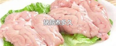 ​海底捞的猪脑要煮多久 猪脑要煮多久才能吃