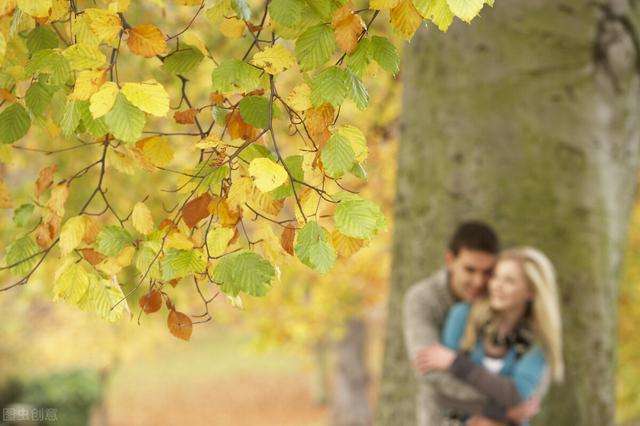 理查德克莱德曼60首钢琴曲（克莱德曼演奏的钢琴曲你听过几首）(3)