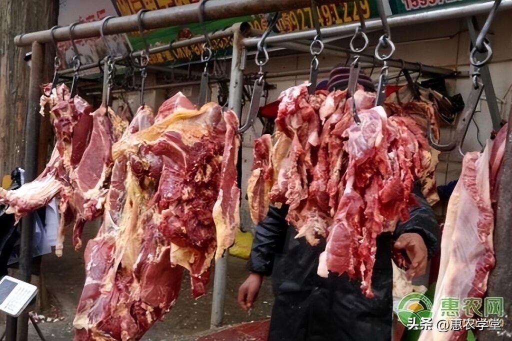 羊肉和鸭肉哪种是白肉_如何分辨真假羊肉