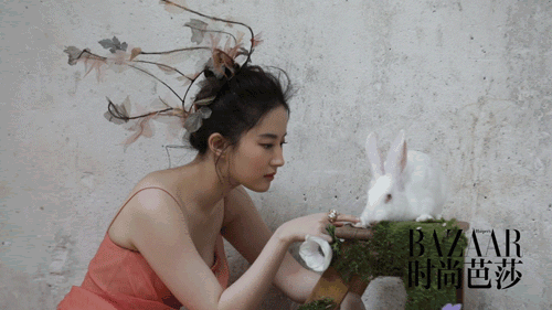 四大美女你认识多少个（现代公认的四大美女）(9)