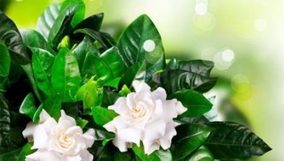 ​2024南京社保最低缴费基数标准多少钱一个？月？南京交社保标准调整如下