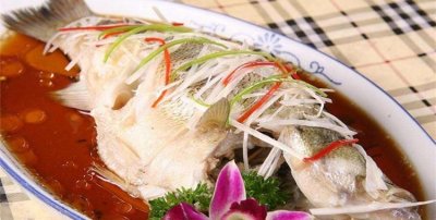 ​清蒸鲈鱼是发物,手足口病可以吃清蒸鲈鱼吗