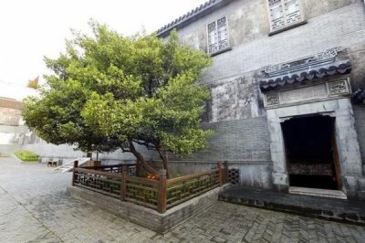 ​洋河青花窖藏绵柔(江苏洋河青花窖藏42度浓香型)