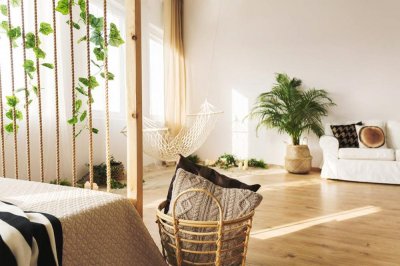 ​这6种易爆盆的花放在阳台，瞬间变花园