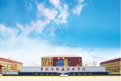 ​学手艺都有什么行业女，女孩学什么手艺好呢？