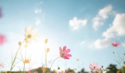 ​客厅射灯灯线怎么接客厅有六根线分别控制射灯.灯带.吸顶灯怎么接开关