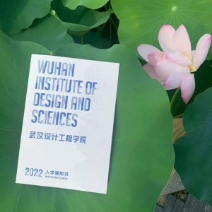 ​武汉设计工程学院是几本？武汉设计工程学院成龙影视传媒学院