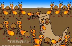 为什么下雨天睡觉很舒服