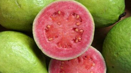 芭乐要放软了才能吃吗