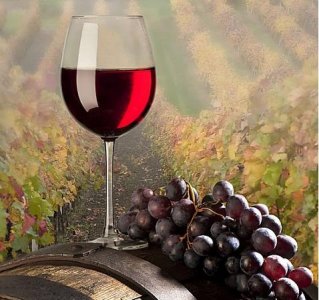 ​对于蛇龙珠干红葡萄酒价格你知道多少呢