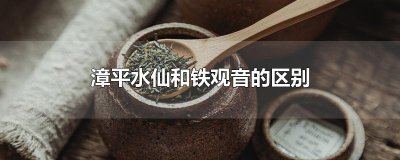 ​漳平水仙和铁观音的区别