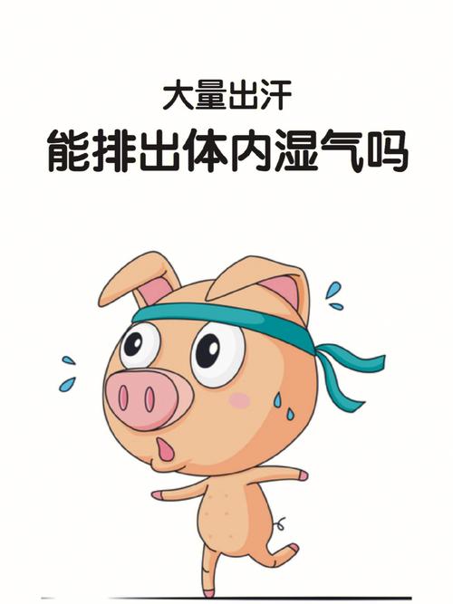 夏天多出汗可以去湿气吗（出汗能排除体内的湿气吗）