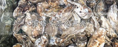 ​海蛎子怎么剥开 海蛎子开壳以后能放多久