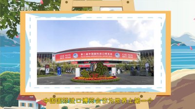 ​进博会是什么的简称