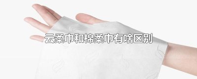 ​云柔巾和棉柔巾有啥区别