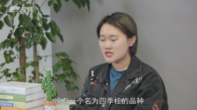 ​桂花开花时间是几月