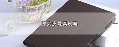 ​羊纹弹力皮是真皮吗 环保弹力皮是真皮吗