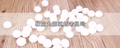 ​樟脑丸能驱赶老鼠吗有毒吗 樟脑丸能驱赶老鼠吗有效果吗