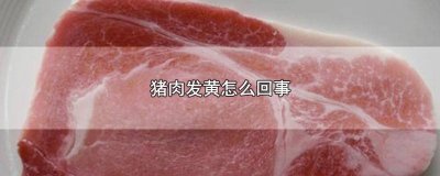 ​猪肉中间的瘦肉为什么会发黄 猪肉里面泛黄