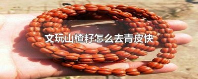 ​怎样去山楂籽 文玩山楂核怎么清理