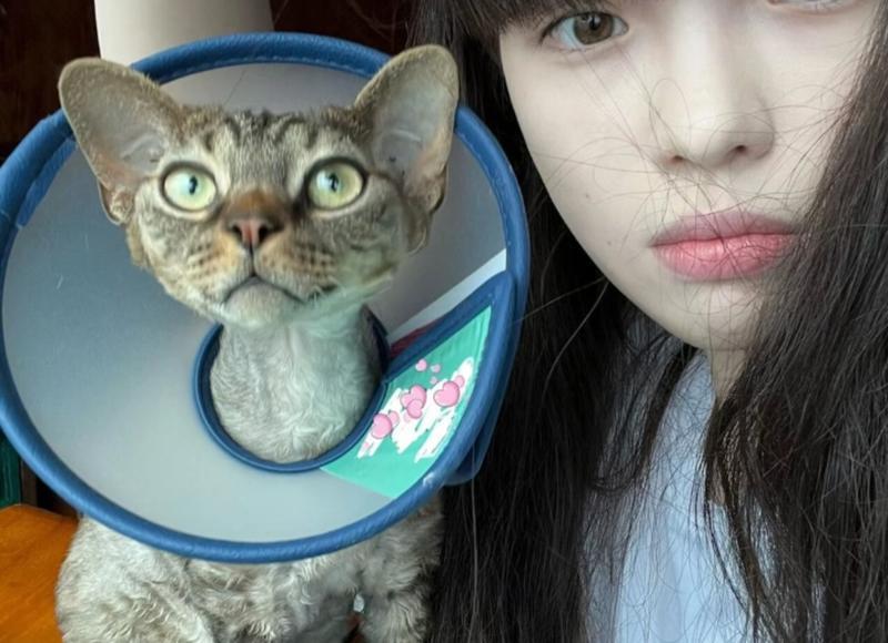 水瓶座想复合会怎样做,水瓶座挽回爱情的杀手锏 水瓶座想复合会怎样做,水瓶座挽回爱情的杀手锏