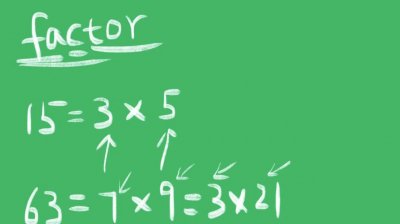 ​factor什么意思