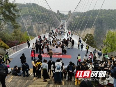 ​张家界大峡谷玻璃桥清明假期游人如织