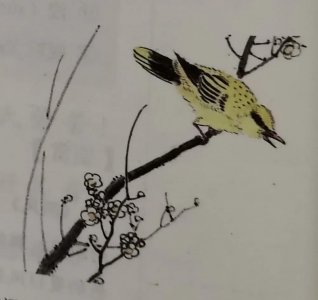 ​《诗经》名物之黄鸟