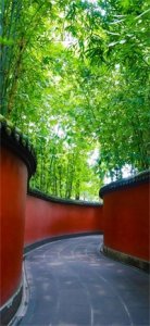 ​全面屏壁纸第七十四期：养眼美景壁纸合集