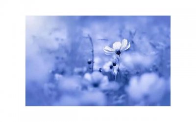 ​坐在上面摇是一种什么体验 女上位有哪些表现形式