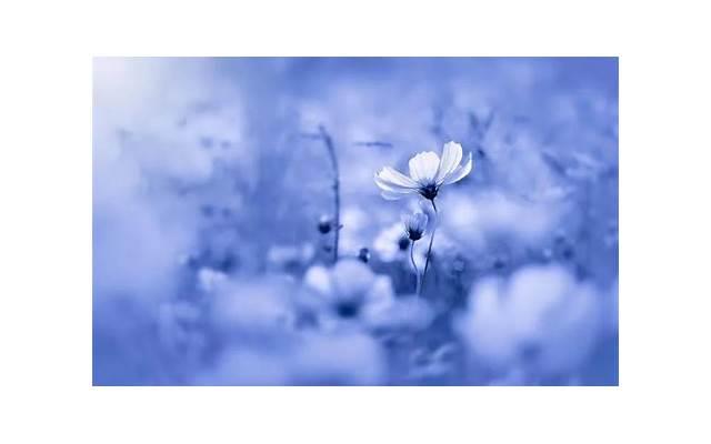 坐在上面摇是一种什么体验 女上位有哪些表现形式 坐在上面摇是一种什么体验 女上位有哪些表现形式