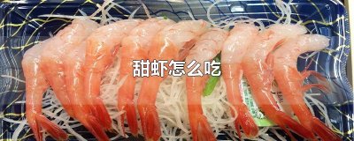 ​甜虾怎么吃
