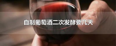 ​自制葡萄酒二次发酵要几天