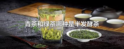 ​青茶和绿茶哪种是半发酵茶