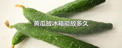 ​黄瓜放冰箱能放多久