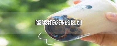 ​啵啵跟珍珠一样吗 蒟蒻是珍珠吗