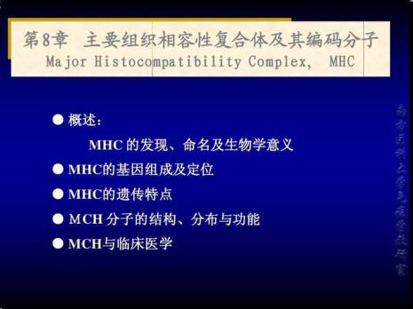 mc医学缩写什么意思