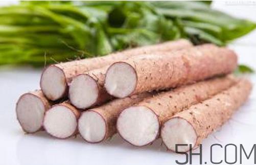 山药和白萝卜可以一起炖汤吗？冬天吃山药的五大好处