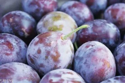 ​西梅和乌梅的区别 有这些区别