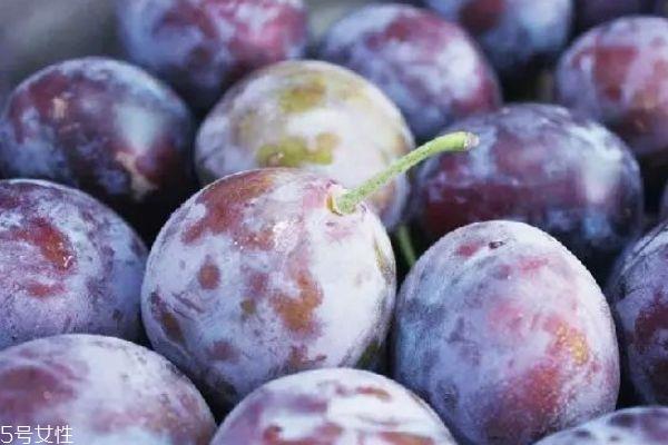 西梅和乌梅的区别 有这些区别