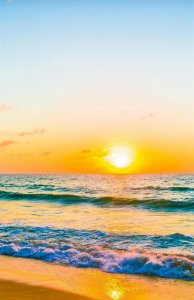 ​梦就在远方(远方的梦想作文)