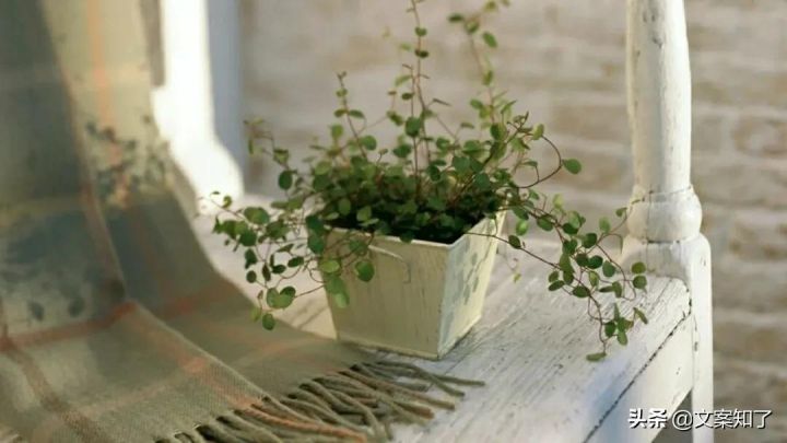 夸人好看的彩虹屁(赞美人漂亮的花式文案)