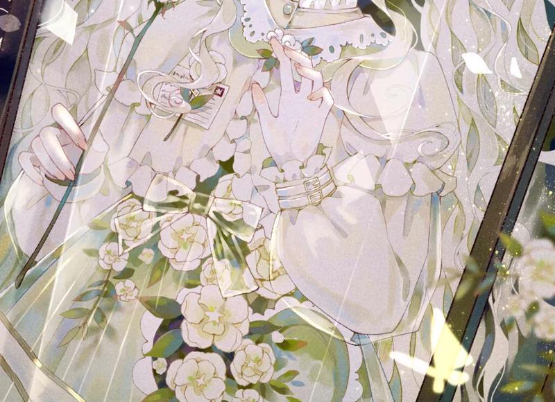 玉米须的功效与作用及禁忌网用法收